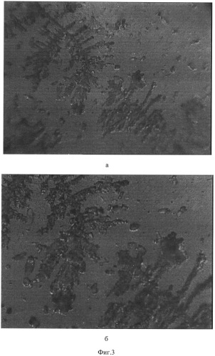 Способ получения частиц микрокапсулированного антисептика-стимулятора дорогова (асд) 2 фракция в ксантановой камеди, обладающего супрамолекулярными свойствами (патент 2537253)