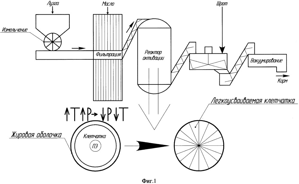 Корм для животных на основе лузги подсолнечника и способ его получения (патент 2667784)