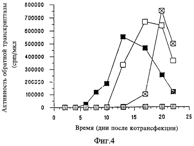 Условно реплицирующийся ретровирусный вектор (варианты), способ его получения и использования (варианты), выделенная и очищенная молекула нуклеиновой кислоты (патент 2270250)