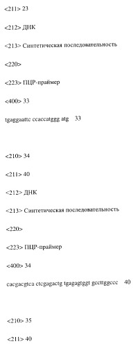 Модифицированное агонистическое антитело (патент 2295537)