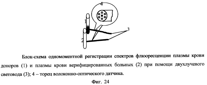 Способ люминесцентной диагностики и/или качественной оценки состояния биологического объекта и устройство для его осуществления (патент 2254372)