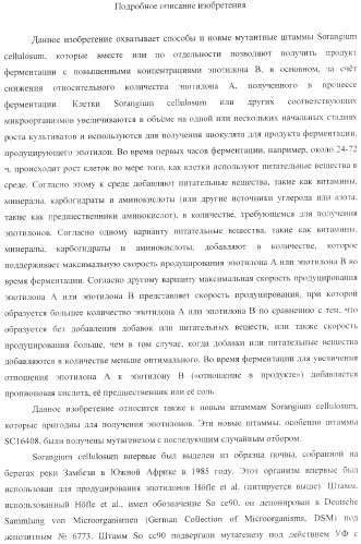 Способы получения, выделения и очистки эпотилона b и рентгеноструктурные кристаллические структуры эпотилона в (патент 2368661)
