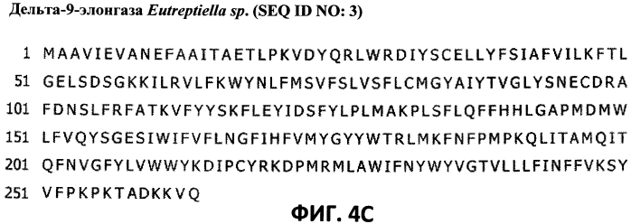 Новая дельта-9-элонгаза для получения масел, обогащенных полиненасыщенными жирными кислотами (патент 2558302)
