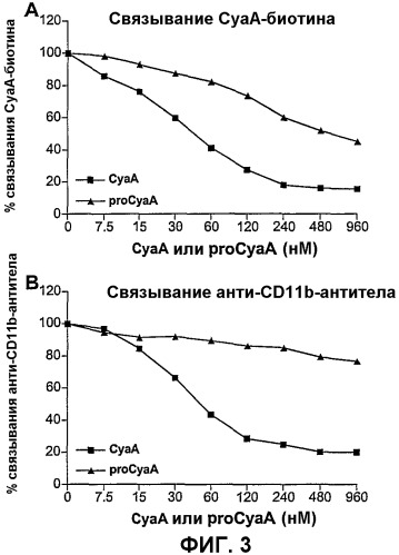 Модифицированная аденилатциклаза bordetella, содержащая домен взаимодействия cd11b/сd18 или лишенная домена взаимодействия cd11b/cd18, и ее применение (патент 2421241)