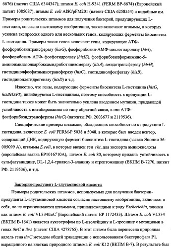Способ получения l-треонина с использованием бактерии, принадлежащей к роду escherichia, в которой инактивирован кластер генов yrah-r (патент 2337962)