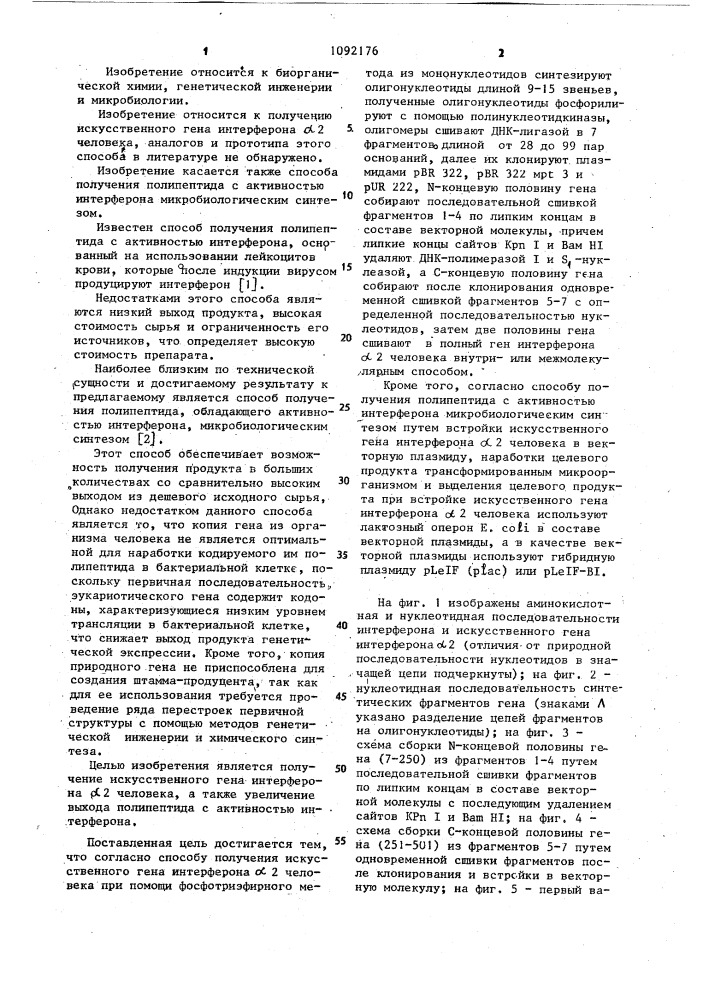 Способ получения искусственного гена интерферона @ 2 человека и способ получения полипептида с активностью интерферона микробиологическим синтезом (патент 1092176)