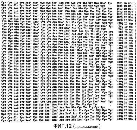 Полипептид для увеличения активности рецептора гуанилатциклазы, фармацевтическая композиция, способ лечения желудочно-кишечного расстройства у пациента, способ повышения активности рецептора гуанилатциклазы у пациента, способ лечения висцеральной боли, способ получения полипептида (варианты), изолированная молекула нуклеиновой кислоты, бактериальный вектор экспрессии и изолированная бактериальная клетка (патент 2433133)