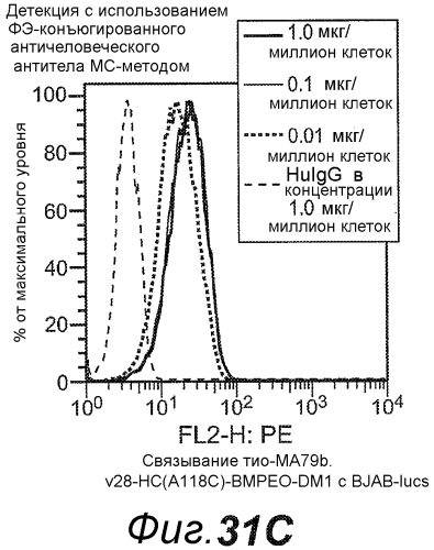 Анти-cd79b антитела и иммуноконъюгаты и способы их применения (патент 2553566)