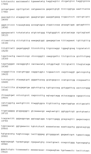 Лечение сиртуин 1 (sirt1)-связанных заболеваний путем ингибирования натурального антисмыслового транскрипта (патент 2551234)