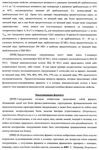Гиалуронидаза и способ ее применения (патент 2471867)