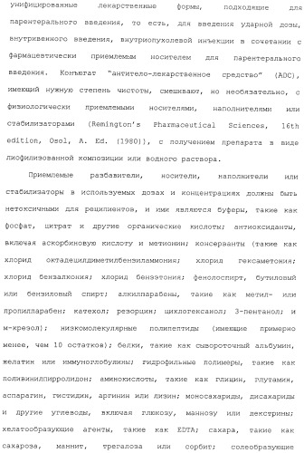 Антитела, сконструированные на основе цистеинов, и их конъюгаты (патент 2412947)