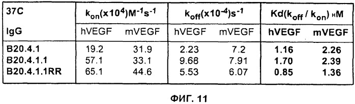 Антитела против фактора роста эндотелия сосудов (vegf) (патент 2514148)