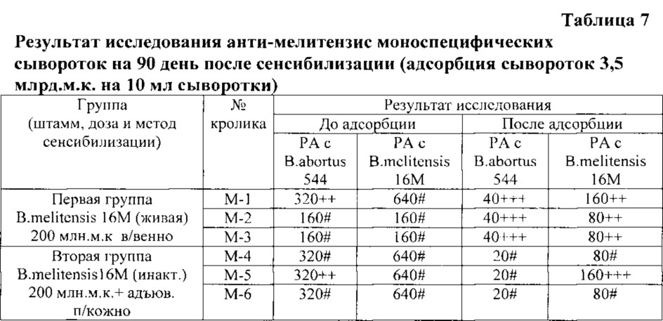 Способ получения бруцеллёзной моноспецифической сыворотки anti-melitensis (патент 2613901)