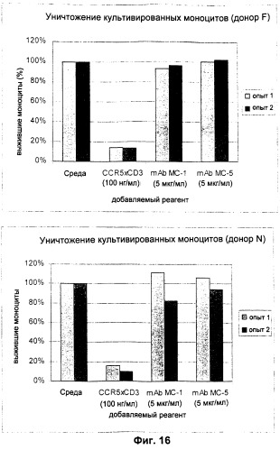 Конструкции антител и хемокинов и их применение при иммунологических нарушениях (патент 2252786)