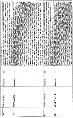 Pscaxcd3, cd19xcd3, c-metxcd3, эндосиалинxcd3, epcamxcd3, igf-1rxcd3 или fap-альфаxcd3 биспецифическое одноцепочечное антитело с межвидовой специфичностью (патент 2547600)