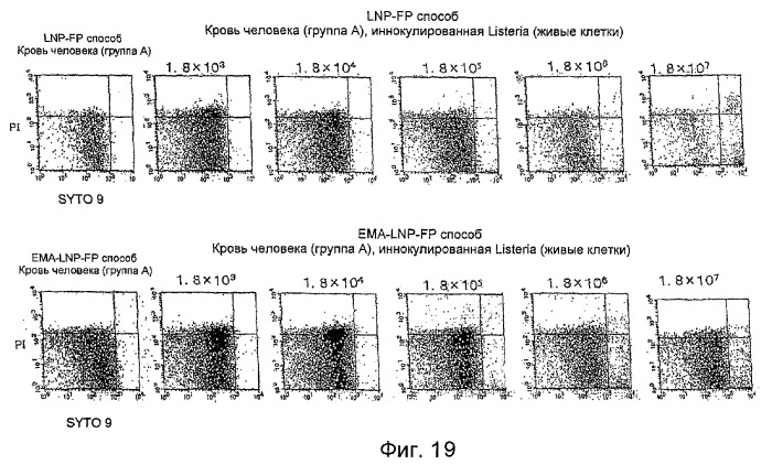 Способ получения образца для детектирования микроорганизма, способ детектирования микроорганизма и набор для детектирования микроорганизма (патент 2384624)