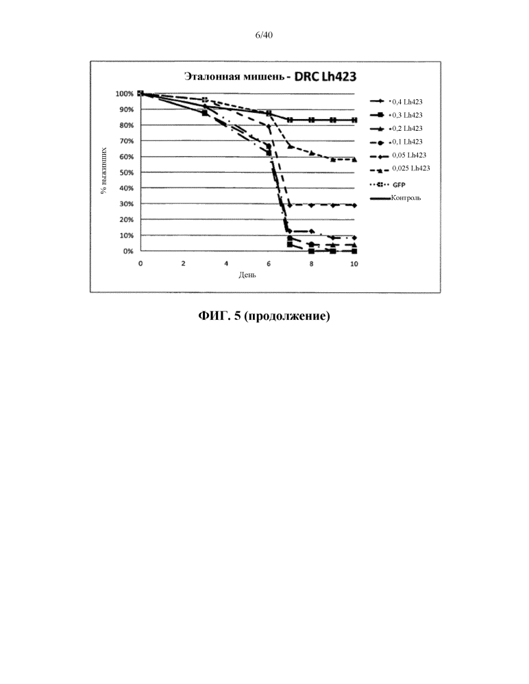 Подавление экспрессии генов у насекомых-вредителей (патент 2619219)