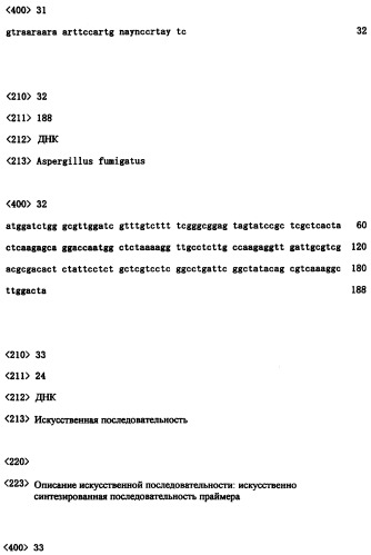 Ген синтеза клеточной стенки грибков (патент 2286387)