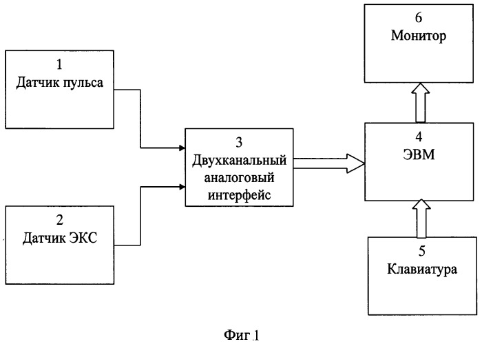 Способ ранней диагностики сердечно-сосудистых заболеваний на основе многоканального спектрального анализа медленных волн кардиосигналов (патент 2537771)