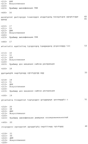 Мономерный домен vhh, полученный из анти-vp6-антител верблюдовых, димерный домен, способ иммунизации, способ выявления ротавирусов, композиция, способы профилактики и лечения ротавирусных инфекций (патент 2490275)