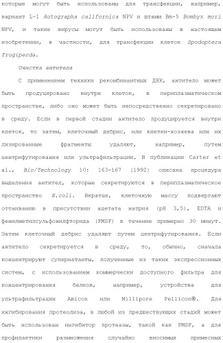 Антитела против вируса гепатита с (патент 2462475)
