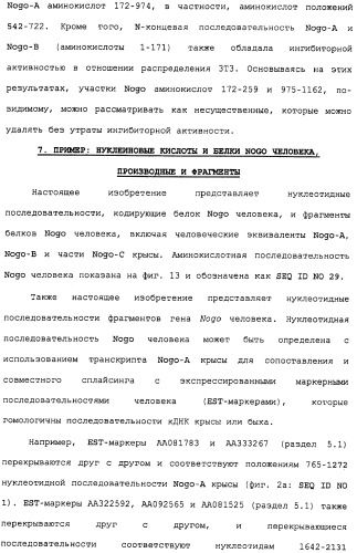 Поликлональное антитело против nogo, фармацевтическая композиция и применение антитела для изготовления лекарственного средства (патент 2432364)