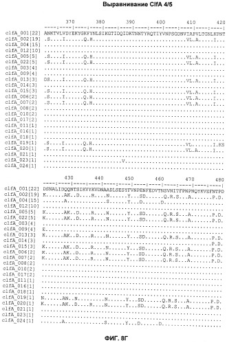 Иммуногенные композиции антигенов staphylococcus aureus (патент 2536981)