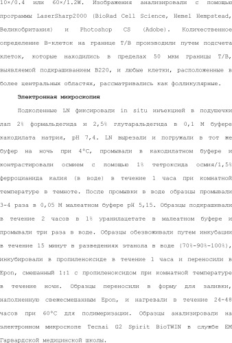 Нацеливание на антигенпрезентирующие клетки иммунонанотерапевтических средств (патент 2497542)