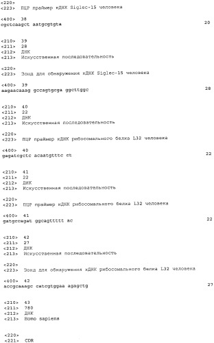 Антитело, направленное на белок siglec-15, связанный с остеокластами (патент 2475499)