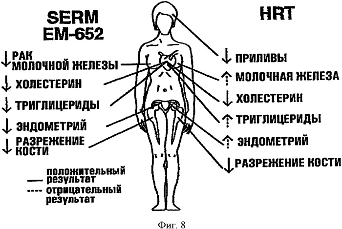 Селективные модуляторы рецептора эстрогена в комбинации с эстрогенами (патент 2342145)