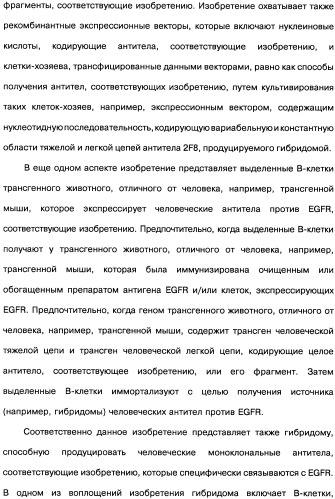 Человеческие моноклональные антитела к рецептору эпидермального фактора роста (egfr), способ их получения и их использование, гибридома, трансфектома, трансгенное животное, экспрессионный вектор (патент 2335507)