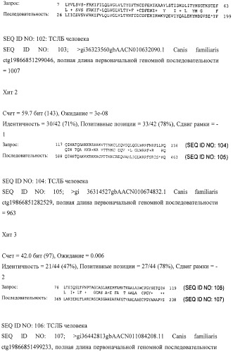 Собачий тимусный стромальный лимфопоэтический белок и его применение (патент 2457217)