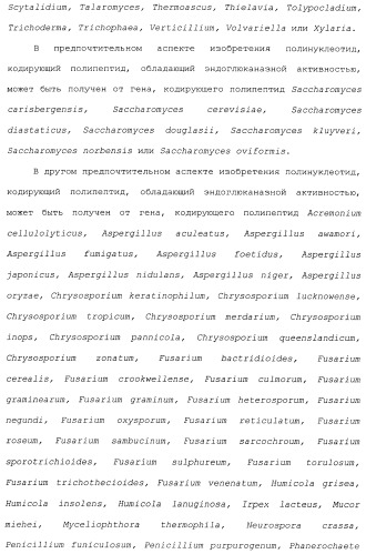 Клетка-хозяин trichoderma reesei для получения целлюлолитической белковой композиции, целлюлолитическая белковая композиция, способы ее получения и применения (патент 2494146)