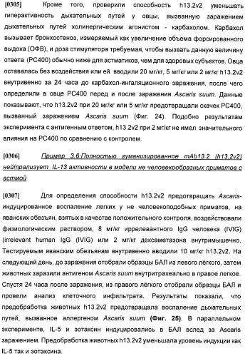 Антитела против интерлейкина-13 человека и их применение (патент 2427589)