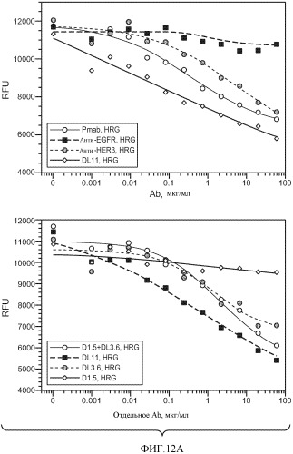 Антитела к her (патент 2504553)