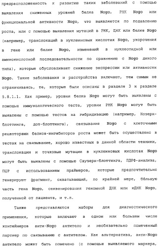 Поликлональное антитело против nogo, фармацевтическая композиция и применение антитела для изготовления лекарственного средства (патент 2432364)