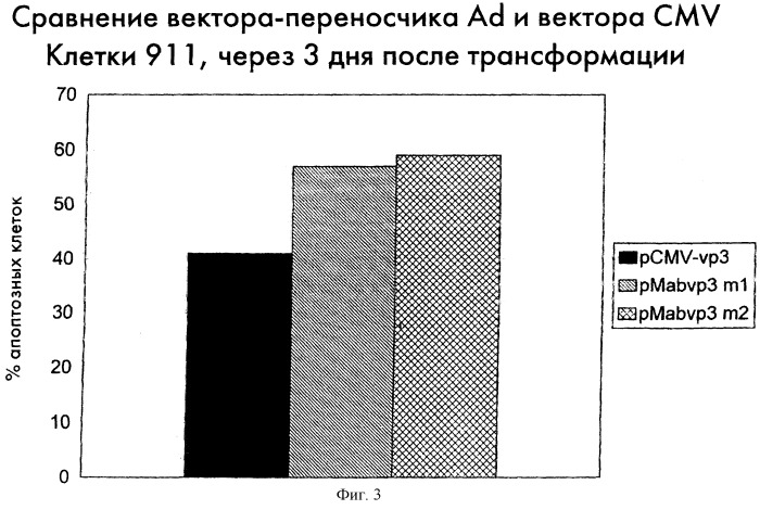 Вектор доставки генов, способный индуцировать апоптоз в клетке (патент 2252255)