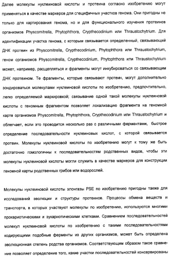 Новый ген элонгазы и способ получения полиненасыщенных кислот жирного ряда (патент 2311457)