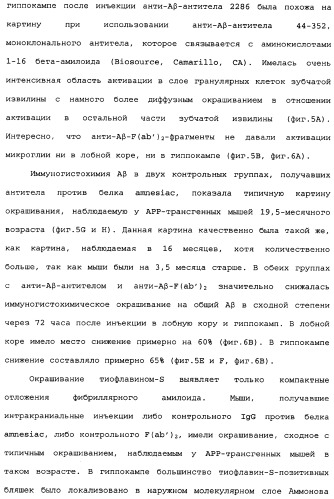 Способы лечения болезни альцгеймера с использованием антител, направленных против пептида амилоида-бета, и их композиций (патент 2353389)