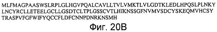 Способы выявления воспалительного заболевания кишечника (патент 2502806)