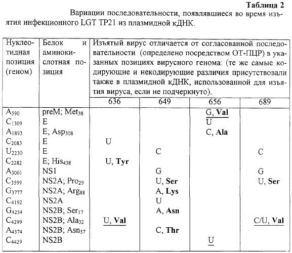 Инфекционные клоны полномерной кднк клещевого флавивируса (патент 2288266)