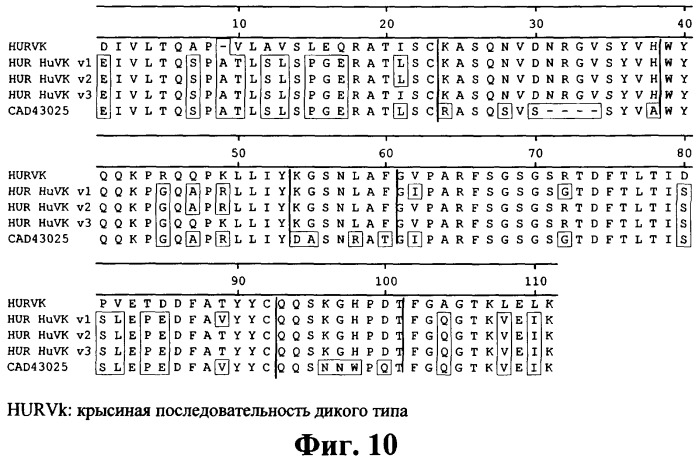 Антитела к рецептору интерлейкина-1 и их применение (патент 2369617)