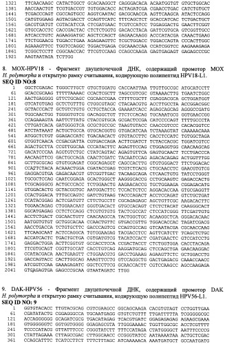 Рекомбинантная вакцина для профилактики папилломавирусной инфекции человека и способ ее получения (патент 2546243)