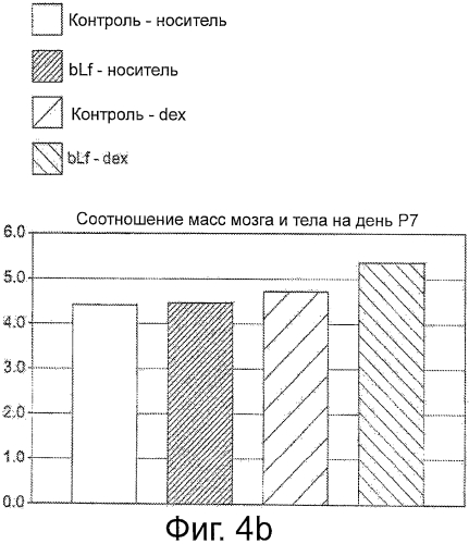 Лактоферрин и развитие здорового мозга у младенцев (патент 2568596)