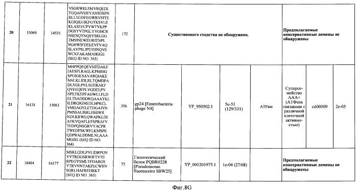 Бактериофаг, обладающий активностью против pseudomonas aeruginosa, белки бактериофага и способы их применения (патент 2580248)