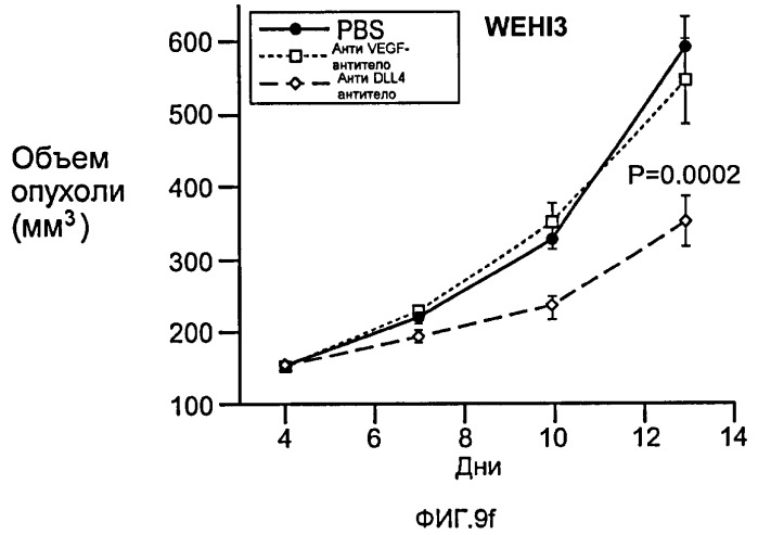 Антитела против dll4 и способы их применения (патент 2415869)