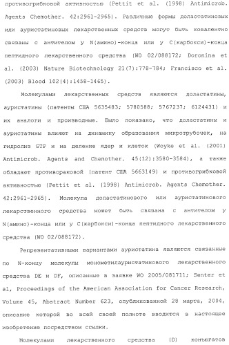 Антитела, сконструированные на основе цистеинов, и их конъюгаты (патент 2412947)