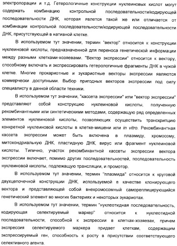 Использование уреазы для ингибирования роста раковых клеток (патент 2326691)