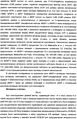 Способ лечения заболеваний, связанных с masp-2-зависимой активацией комплемента (варианты) (патент 2484097)