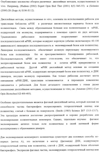 Экспонирование т-клеточных рецепторов (патент 2346004)